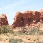 Elephant Shaped Rock Formation Arches
